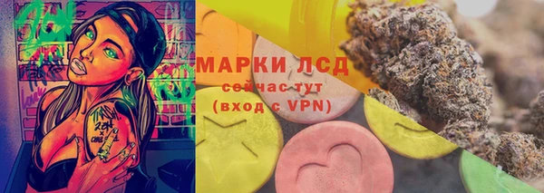 PSILOCYBIN Аркадак
