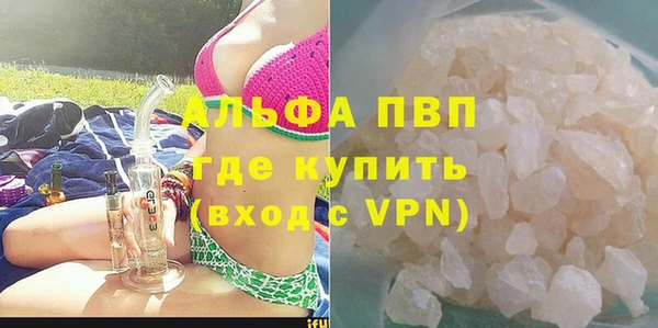 PSILOCYBIN Аркадак