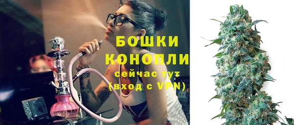 PSILOCYBIN Аркадак
